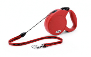 retractable leash